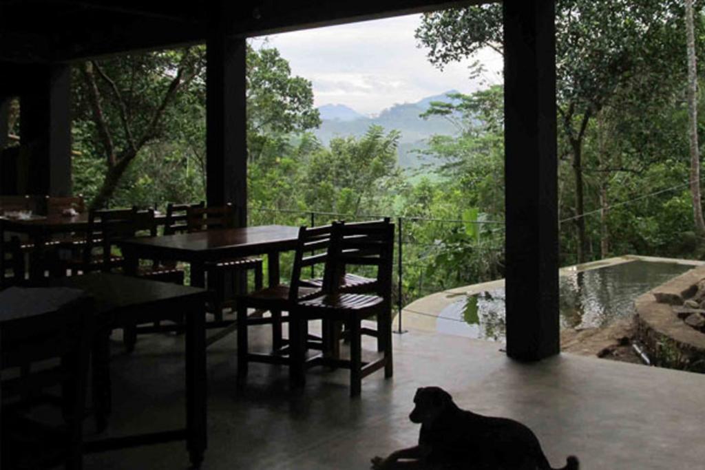 Bandura Kalawana - Rainforest Bungalow Exterior photo